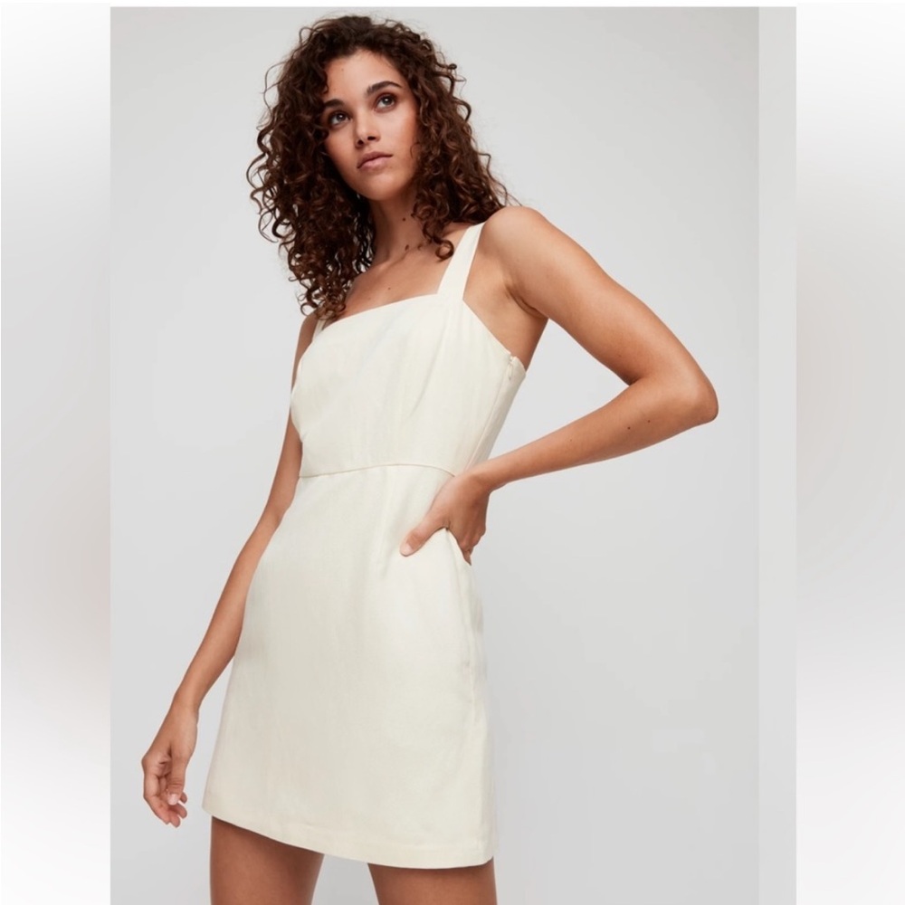 Aritzia Sheath Mini Dress